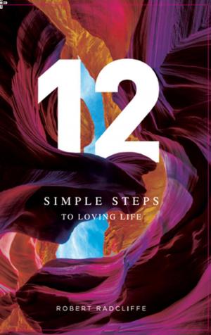 Book cover of 12 Simple Steps To Loving Life