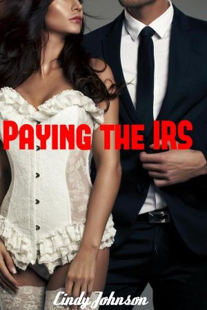 Cover of the book Paying the IRS by AD Stewart