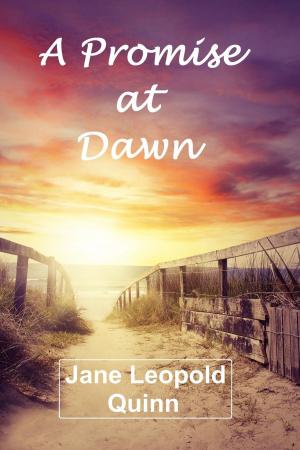 Book cover of A Promise at Dawn