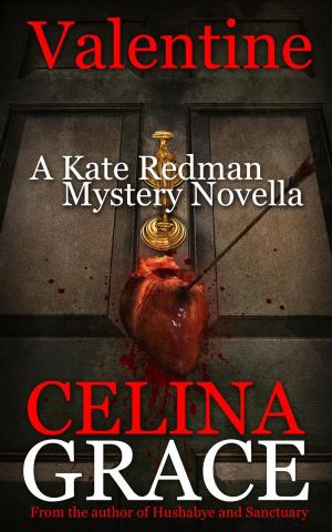 bigCover of the book Valentine (A Kate Redman Mystery Novella) by 