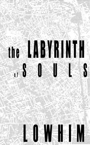 Cover of the book The Labyrinth of Souls by Aaron Grunn