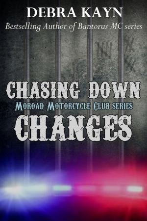 Cover of the book Chasing Down Changes by Vivi Anna