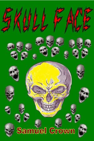 Cover of the book Skull Face by John Mc Caffrey