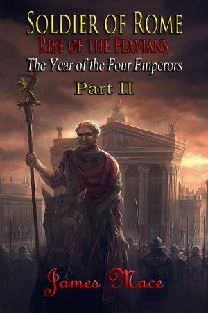 Book cover of Soldier of Rome: Rise of the Flavians