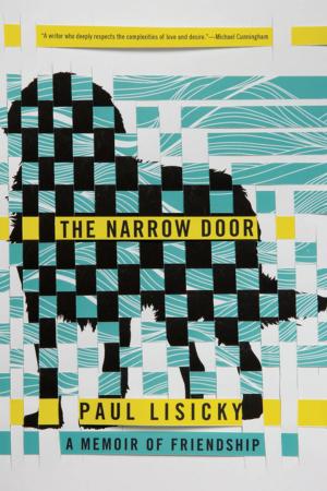 Book cover of The Narrow Door