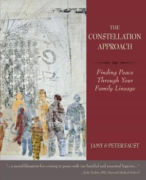 Book cover of THE CONSTELLATION APPROACH