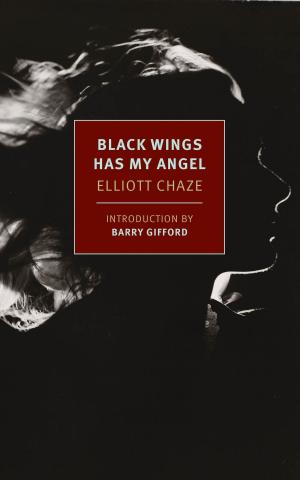 Book cover of Black Wings Has My Angel