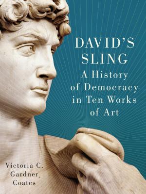 bigCover of the book David's Sling by 