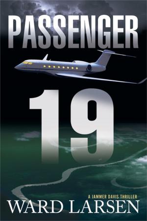 Cover of the book Passenger 19 by Rob Leininger