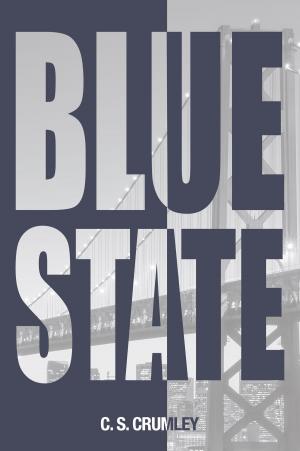 bigCover of the book Blue State by 