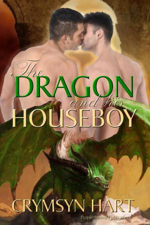 Cover of the book The Dragon and His Houseboy by Régis Hautière, Olivier Vatine, Patrick Boutin-Gagné