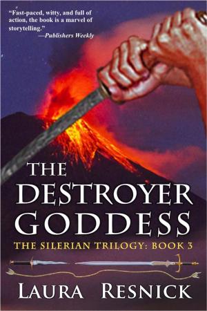 Book cover of The Destroyer Goddess