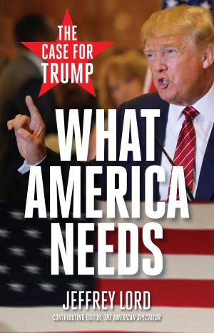 Cover of the book What America Needs by David Goldman