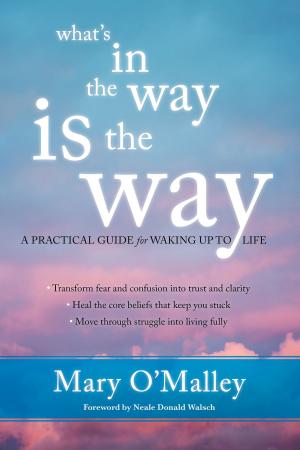 Cover of the book What's in the Way Is the Way by José Luis Stevens, PhD