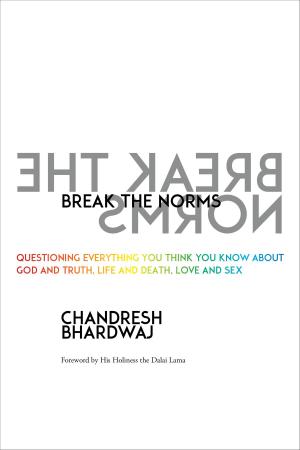 Cover of the book Break the Norms by Pedram Shojai, OMD