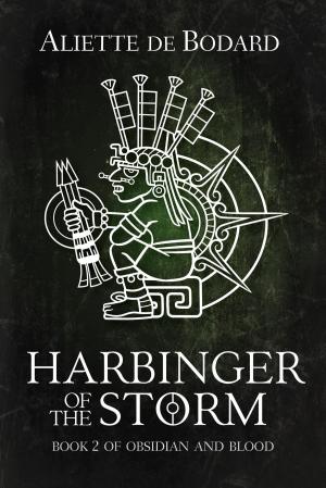 Cover of the book Harbinger of the Storm by Jon Sprunk