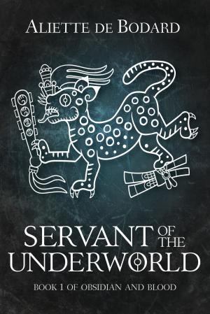 Cover of the book Servant of the Underworld by Lavie Tidhar