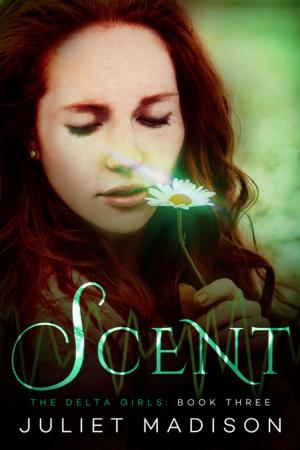 Cover of the book Scent by K.D. Keenan