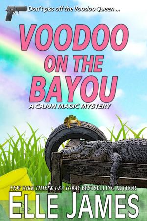 Cover of the book Voodoo on the Bayou by Susan P. Baker