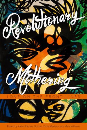Cover of the book Revolutionary Mothering by Jill M Murphy