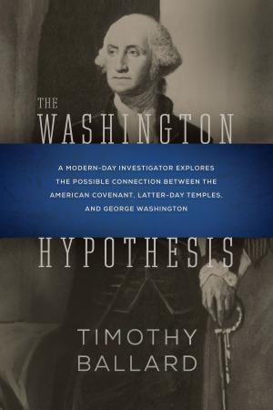 Cover of the book The Washington Hypothesis by E. Cecil McGavin