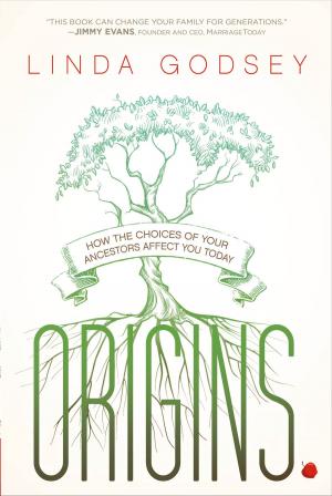 Cover of the book Origins by Johnny Enlow