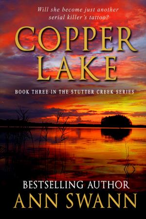 Cover of the book Copper Lake by Antony Soehner
