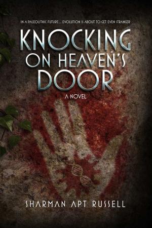 Cover of the book Knocking on Heaven's Door by Claude Salhani