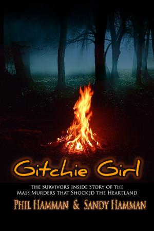 Cover of the book Gitchie Girl by Todd Oliver Stewart