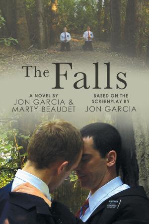 Cover of the book The Falls by Ariel Tachna