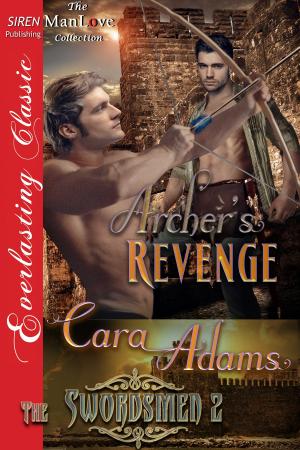 Cover of the book Archer's Revenge by DP Denman