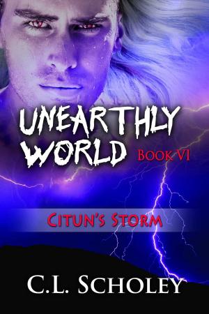 Cover of the book Citun's Storm by Christy Poff