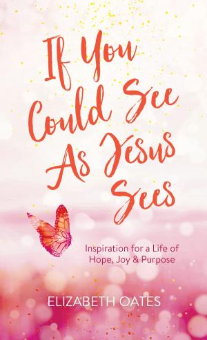 bigCover of the book If You Could See as Jesus Sees by 