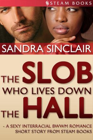 Cover of The Slob Who Lives Down the Hall - A Sexy Interracial BWWM Romance Short Story From Steam Books