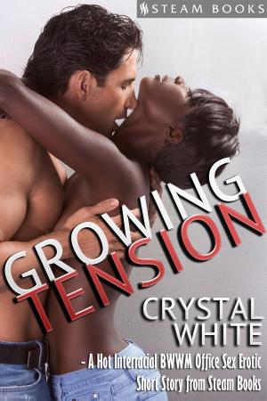 Cover of the book Growing Tension - A Hot Interracial BWWM Office Sex Erotic Short Story from Steam Books by Robert Peake
