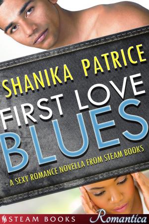 Cover of the book First Love Blues - A Sexy Romance Novella from Steam Books by Lauren Battiste, Jeanette Lavia, Carly Katz