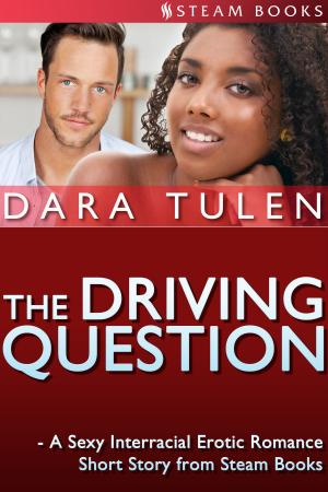 Cover of the book The Driving Question - A Sexy Interracial Erotic Romance Short Story from Steam Books by Bernadette Russo, Steam Books