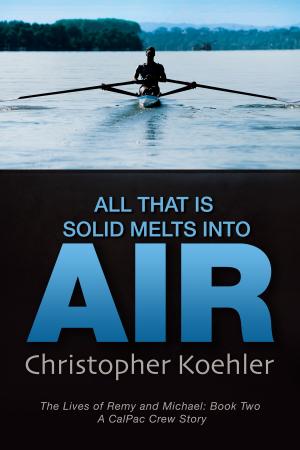 Cover of the book All That Is Solid Melts Into Air by Rebecca Airies