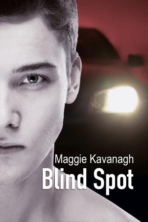 Cover of the book Blind Spot by TJ Nichols