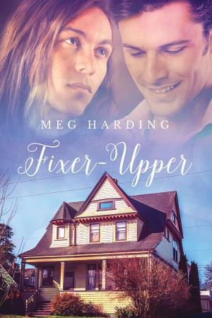 Cover of the book Fixer-Upper by Andrew Grey