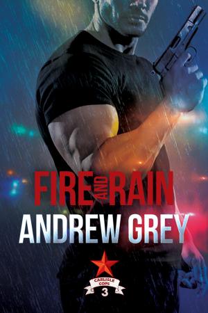Cover of the book Fire and Rain by Rhys Ford