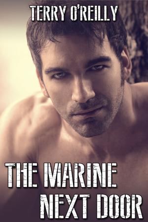 Book cover of The Marine Next Door