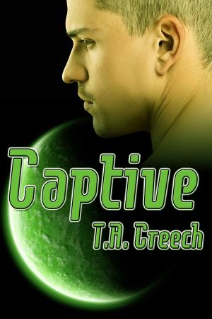 Cover of the book Captive by J.M. Snyder