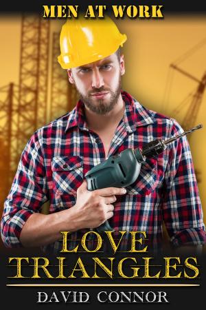 Cover of the book Love Triangles by J.D. Walker