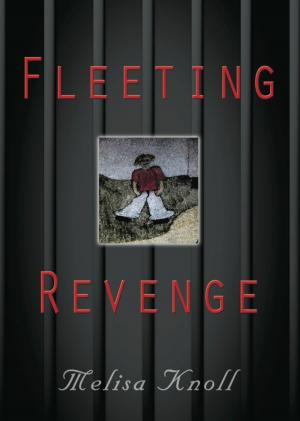 Cover of the book FLEETING REVENGE by Howard Turk