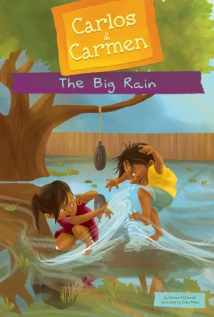 Cover of the book The Big Rain by Teddy Borth