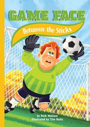 Book cover of Between the Sticks