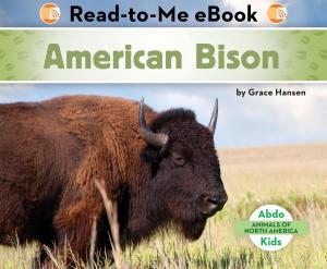 Cover of the book American Bison by Lisa Mullarkey; John Mullarkey