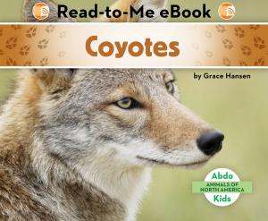 Cover of the book Coyotes by Julie Murray
