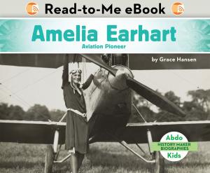 Cover of the book Amelia Earhart: Aviation Pioneer by Lisa Mullarkey; John Mullarkey